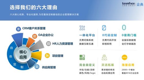 定制化集团型企业CRM系统方案