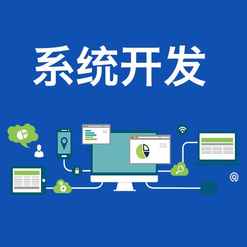 广州系统定制开发公司 广州系统开发公司排名