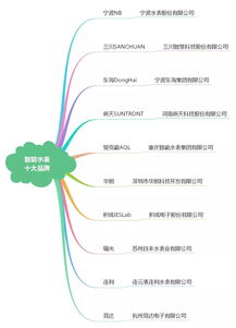 2018中国智能表计产业全景图