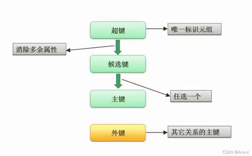 软件设计师视角下的企业业务系统定制 聚焦数据库系统设计与实现